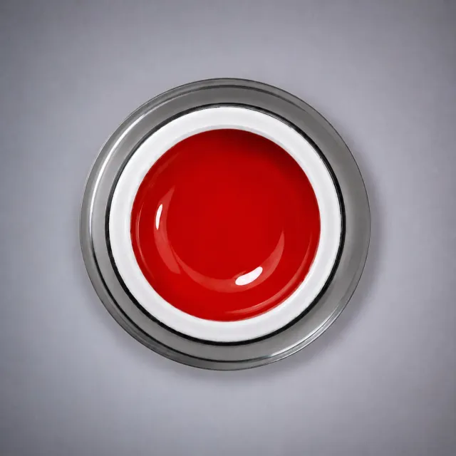 Nail Concept Pure Pigment Paint Red gel paint 5 ml rosso