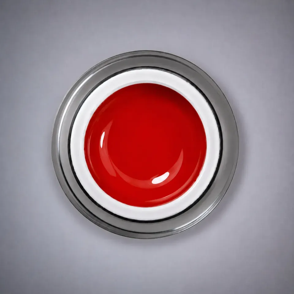 Nail Concept Pure Pigment Paint Red gel paint 5 ml rosso