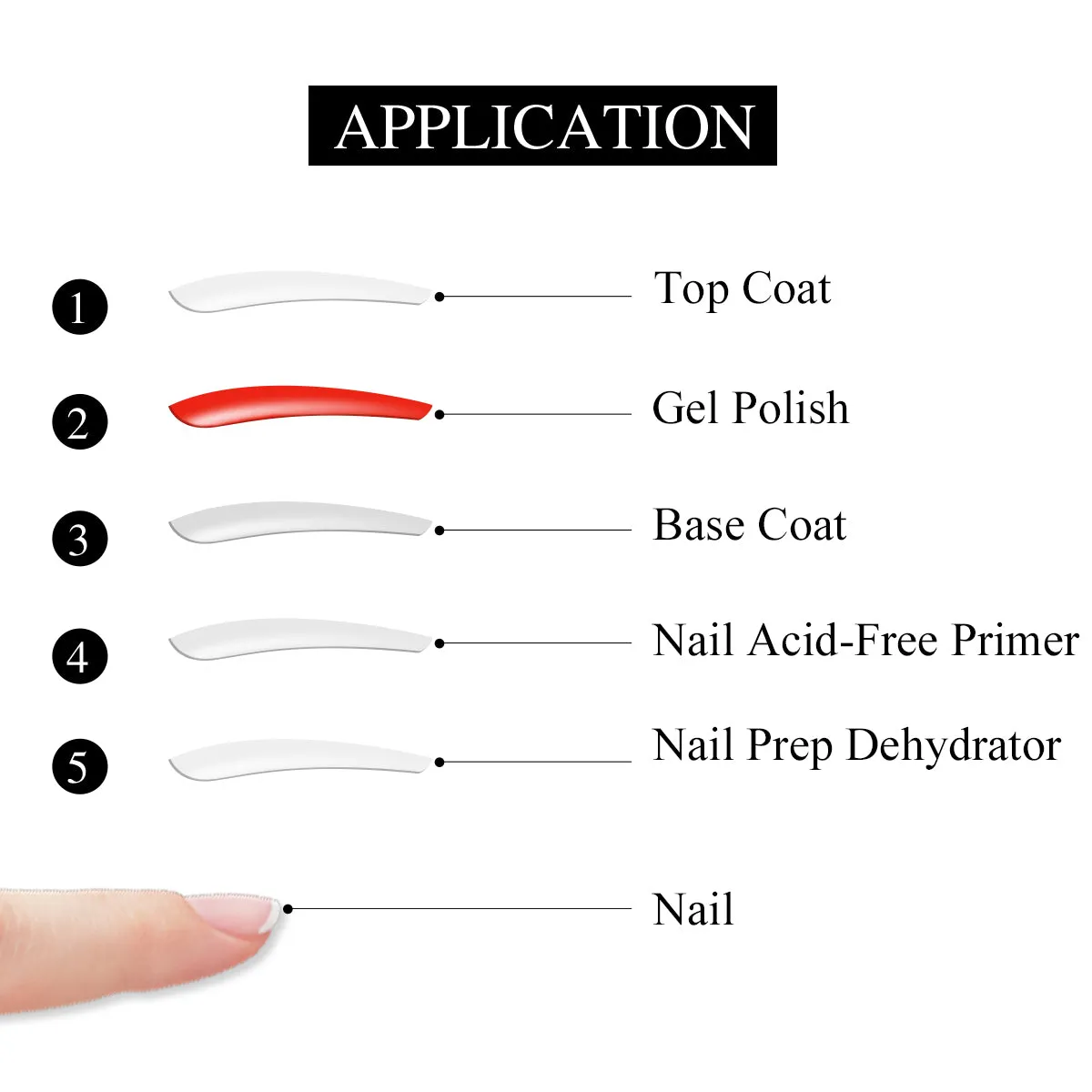 Saviland Nail Prep dehydrator primer 15ml lunga durata
