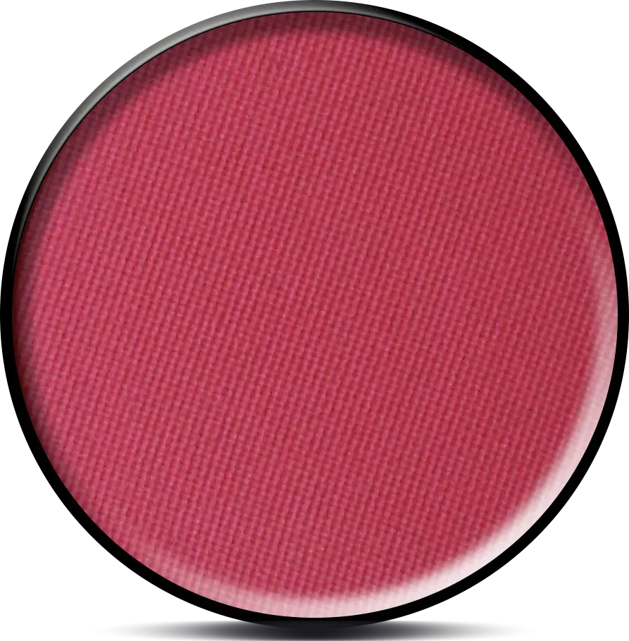 New Nails System EM29 ombretto compatto solo cialda 1,5 g