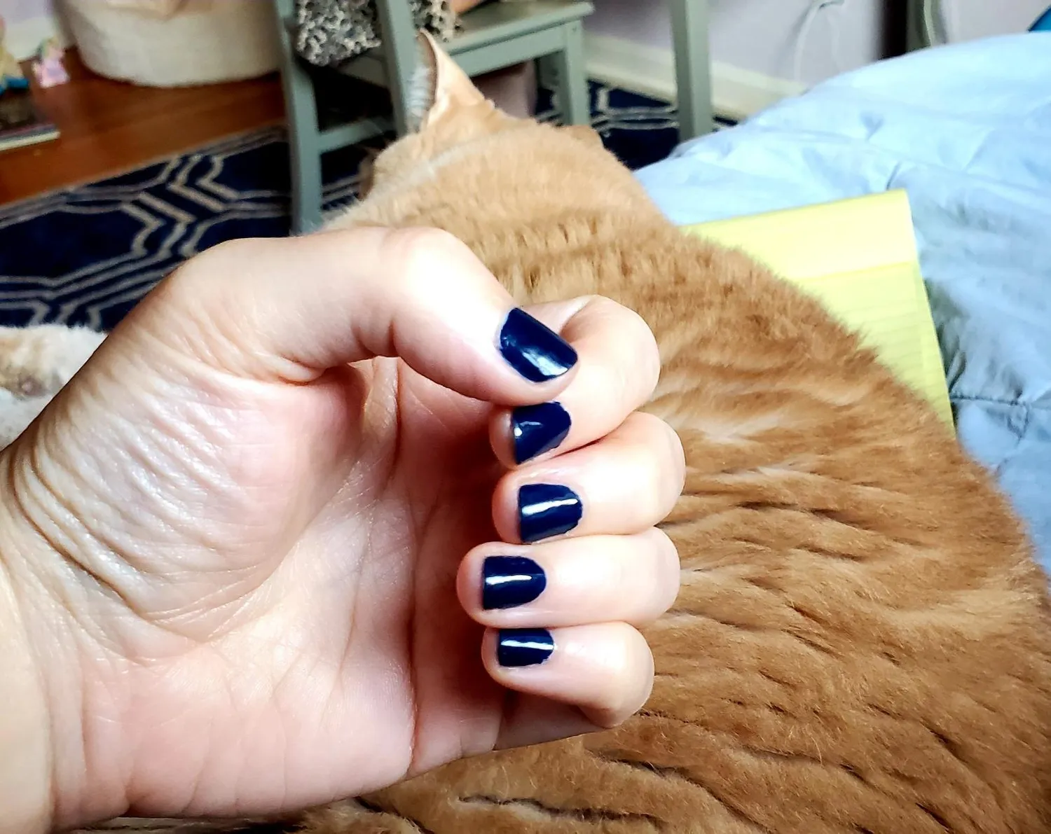 Karma Organic Smalto Unghie Navy Blues Non Tossico