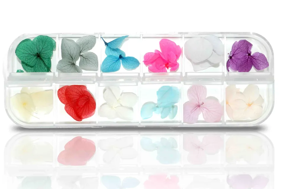 New Nails System Fiori Secchi Nail Art Kit 12 Tipologie incapsulato