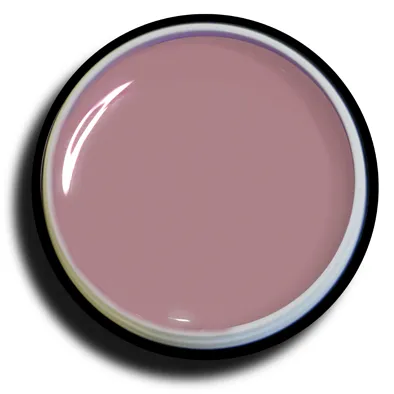 New Nails System Gel Color Pastel Smalto P12 5ml Coprente